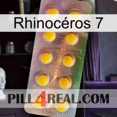 Rhinocéros 7 new11